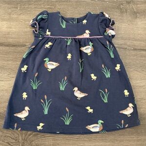 🦆TBBC 18-24M Holly Day Dress Montgomery Mallard EUC